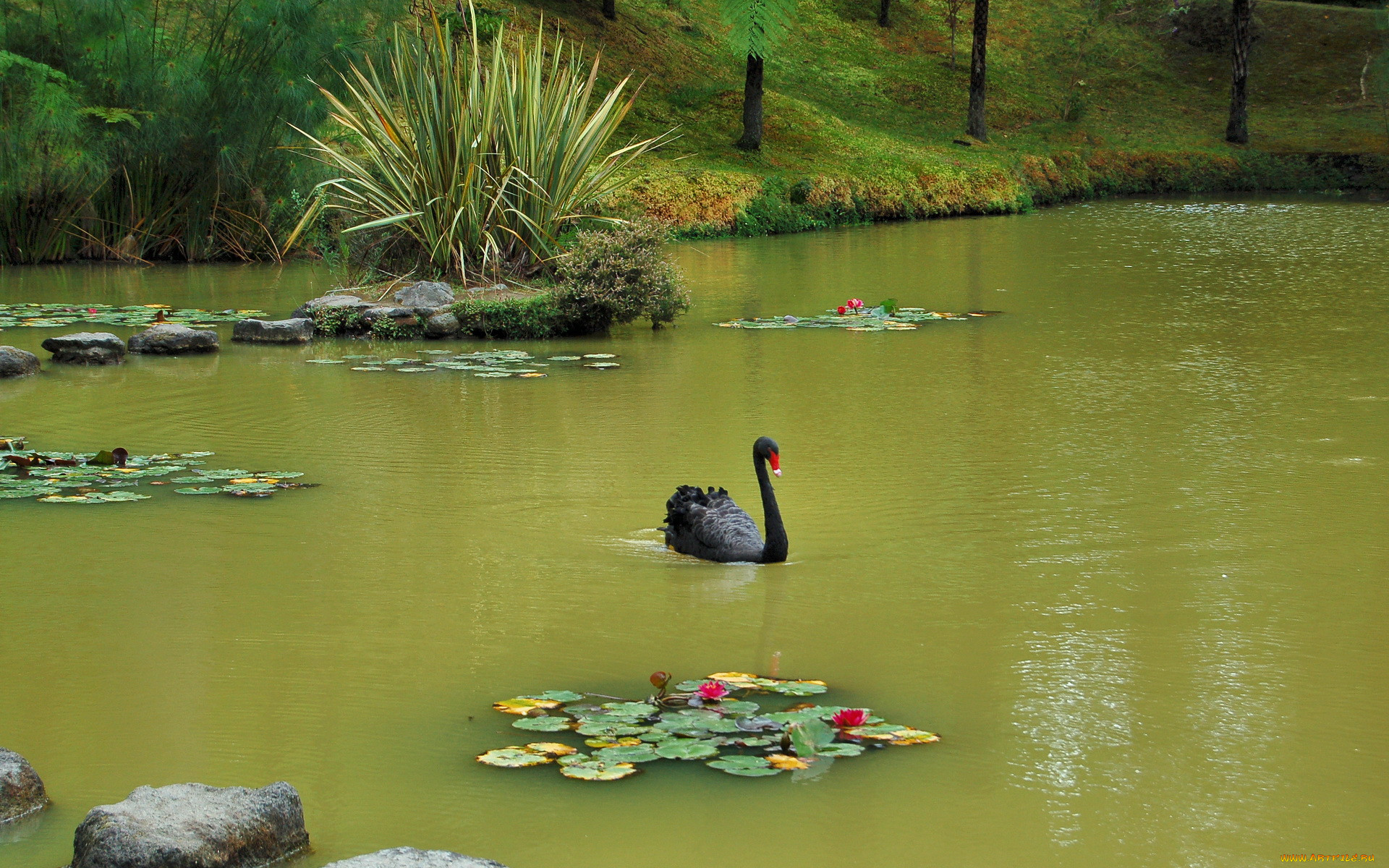 , furnas, botanic, garden, , , , , 